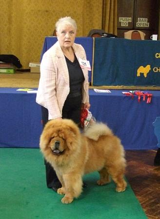 The Chow Chow Club